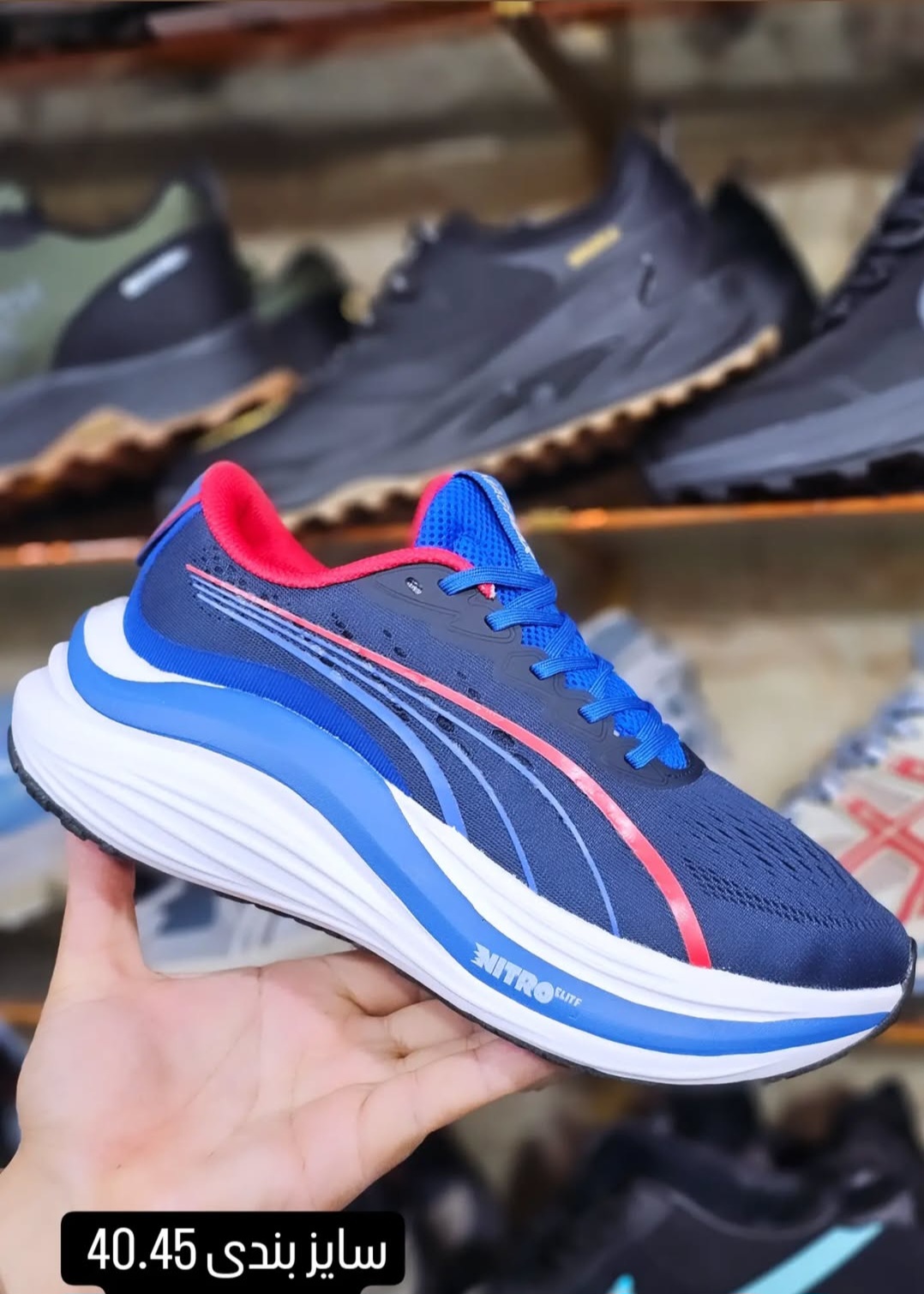 Puma magmax nitro vietnam