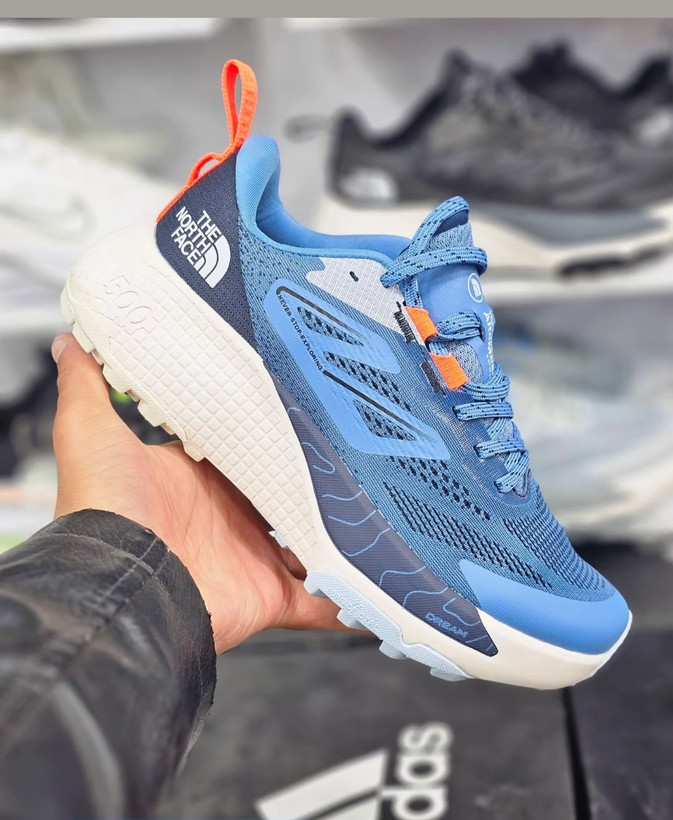 کتونی ویتنامی نورث فیس . وارداتی ویتنام سایز ۴۰ تا ۴۵ . north face Altamesa 500.
