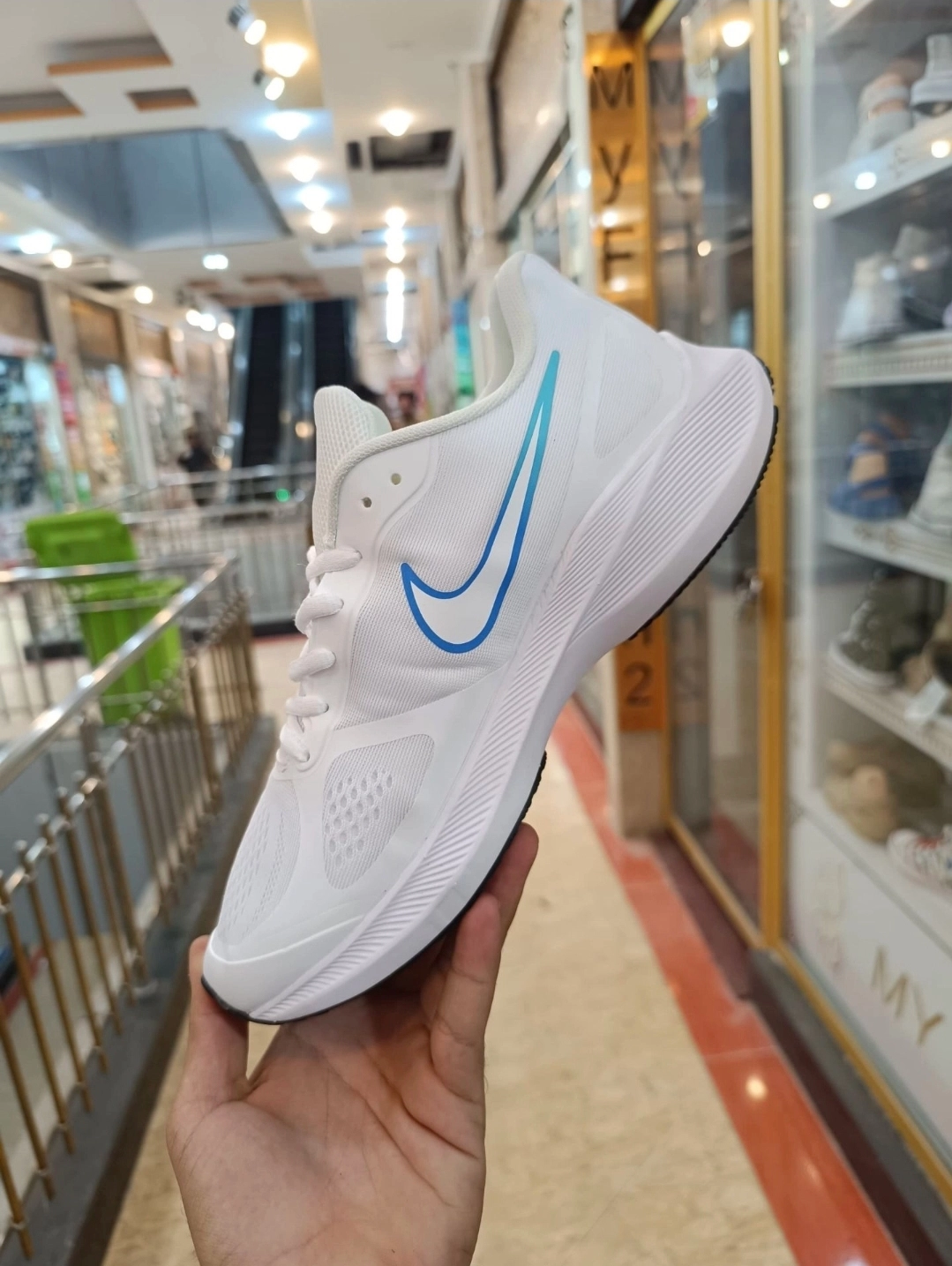 Nike guide 10 vietnam. نایک گاید ۱۰