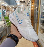 Nike guide 10 vietnam. نایک گاید ۱۰