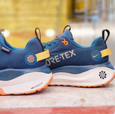 کتونی نایک اینفینیتی گورتکسNike React infinity Run 4 Gore_tex