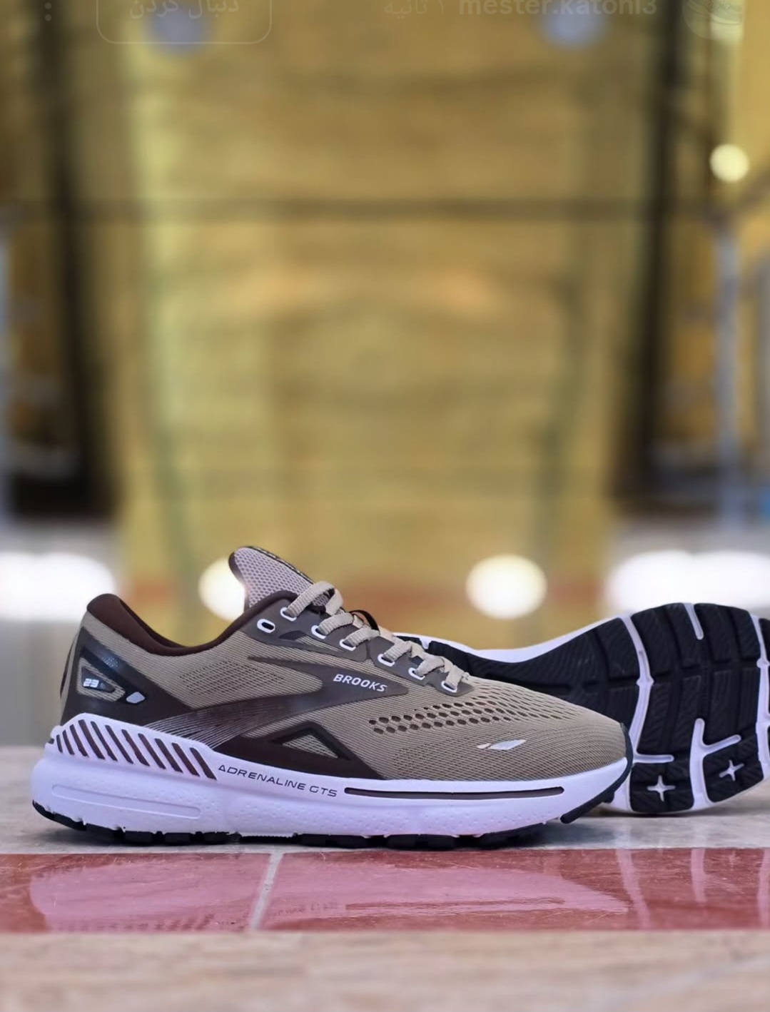 کتونی بروکس آدرنالین GTS 23 مسترکوالیتی ویتنام | Brooks Adrenaline GTS 23 فروش عمده و تک
