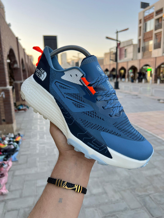 کتونی نورث فیس آلتامسا ۵۰۰