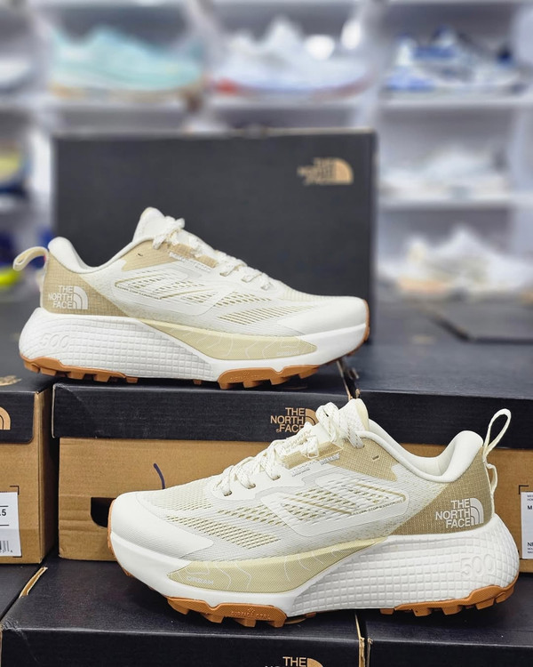 کتونی ویتنامی نورث فیس . وارداتی ساخت ویتنام سایز ۴۰ تا ۴۵ . north face Altamesa 500.