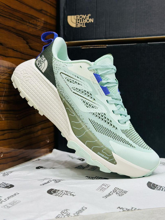 کتونی ویتنامی نورث فیس . وارداتی ساخت ویتنام سایز ۴۰ تا ۴۵ . north face Altamesa 500.