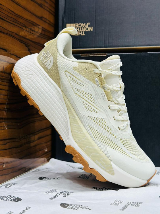 کتونی ویتنامی نورث فیس . وارداتی ساخت ویتنام سایز ۴۰ تا ۴۵ . north face Altamesa 500.